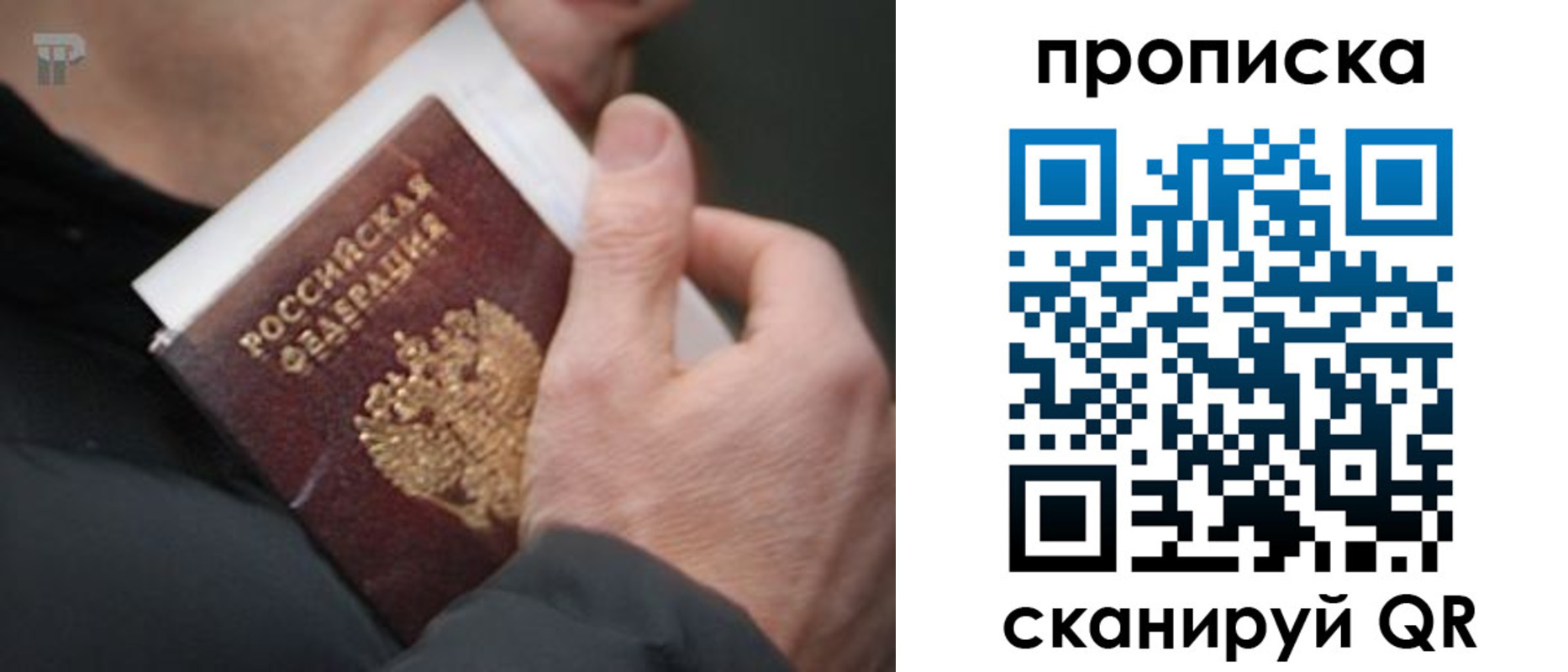 временная регистрация гарантия в Элисте